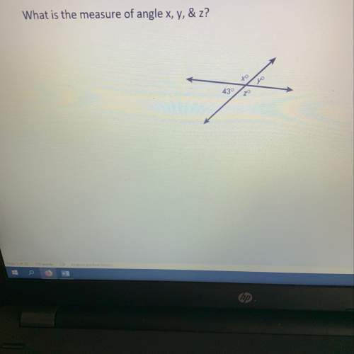 What is the measure of angle x,y,&amp; ,z?