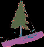 Atree grows vertically on a hillside. the hill is at a 16° angle to the horizontal. the tree casts a