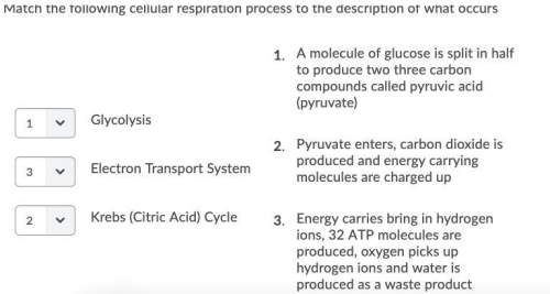 Ireally need some plz question 1)match the following cellular respiration p