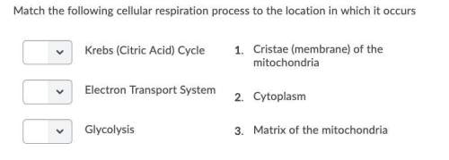 Ireally need some plz question 1)match the following cellular respiration p