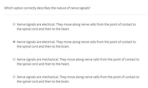 Which option correctly describes the nature of nerve signals?  nerve signals are electri