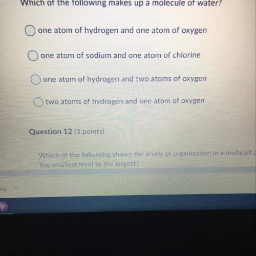 Which of the following makes up a molecule of water?