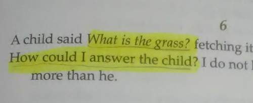 Why does whitman choose to present these ideas as questions?