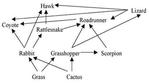 Use the desert food web to answer the following question.  which of the following organisms ha