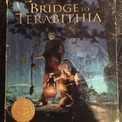 What was the problem in the book "bridge of terabithia"? how did the main characters solve it in th