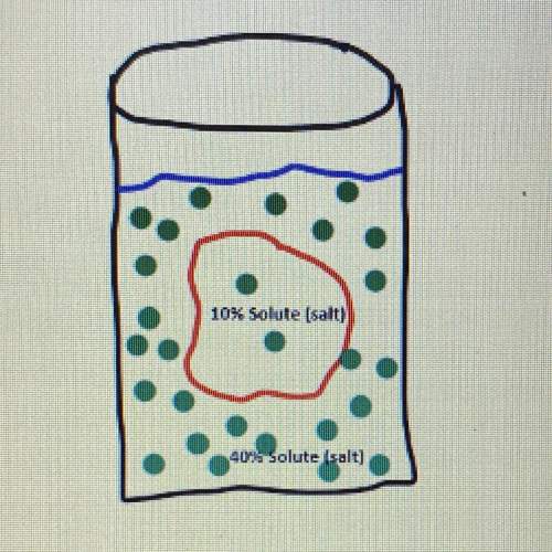 What type of solution is this cell sitting in?  a. hypertonic  b. isot