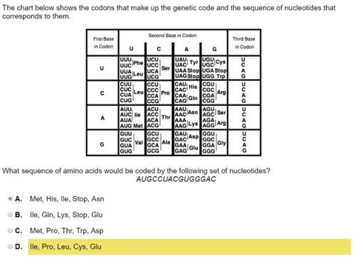 What sequence of amino acids would be coded by the following set of nucleotides?  the chart be