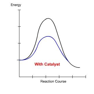 "what can you tell about the rate of the two reactions shown in the graph?  a) they occurred a
