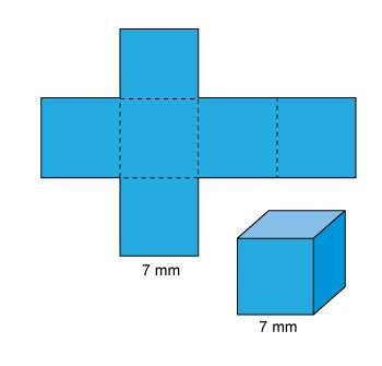 Need asap will mark brainlet for good and correct  look at this cube and its net.