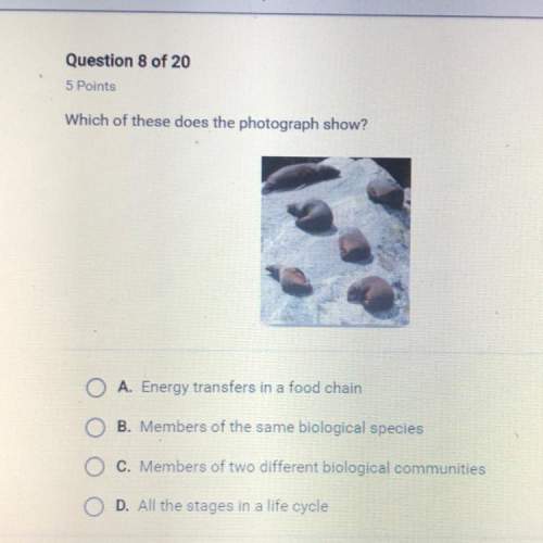 Ineed  which of these does the photograph show?