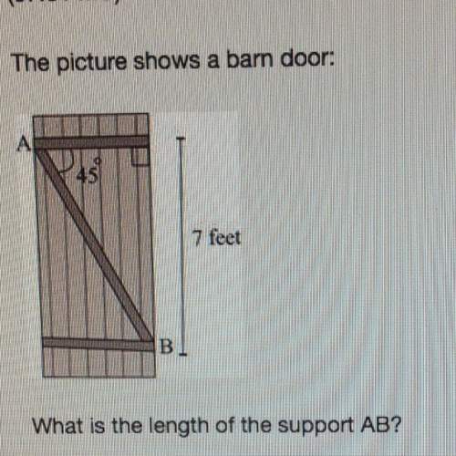 What is the length of the support ab ?