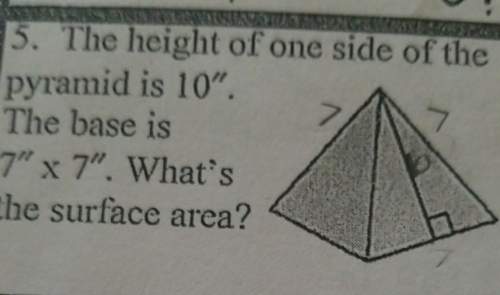 The height of one side of the pyramid is 10. the base is 7×7. what is the surface area ?