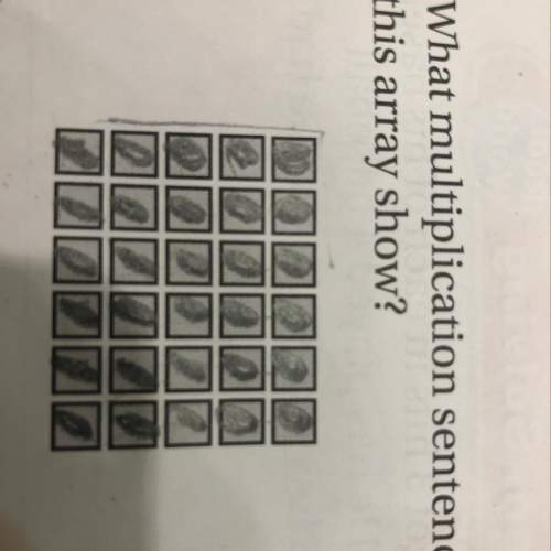 6. what multiplication sentence does this array show?