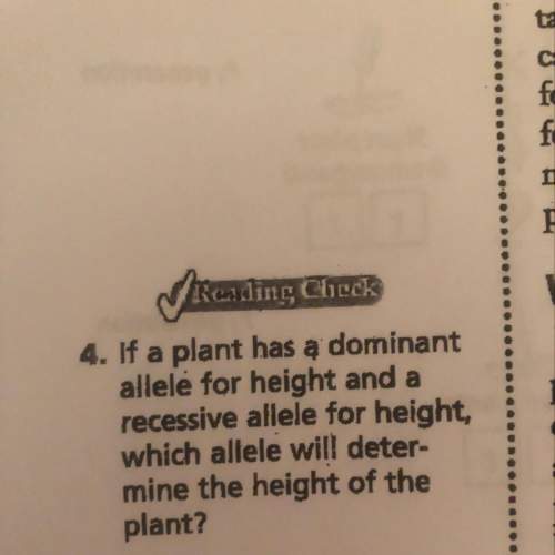 If a plant has a dominant allele for height and a recessive allele for height which allele will dete
