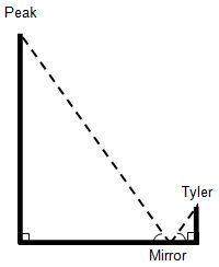 Can someone ! (:  tyler will climb peak  2. in the drawing below, label th