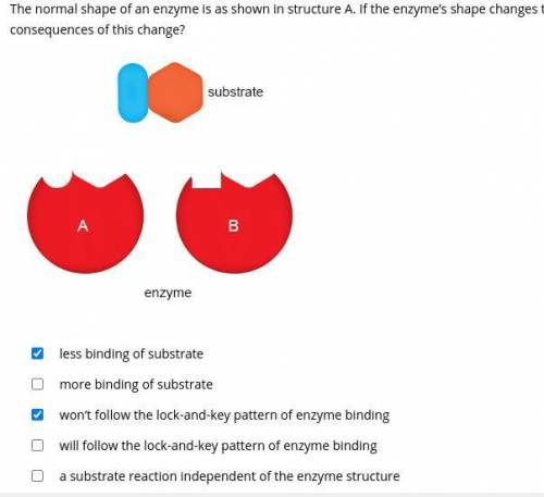 The normal shape of an enzyme is as shown in structure A. If the enzyme’s shape changes to that show
