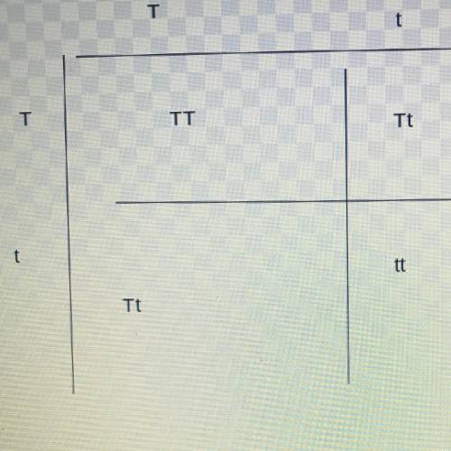 What is it acts need to do

Create a Punnett square to model sexual reproduction with the dominant t