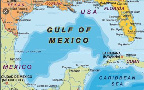 Analyze the map below and answer the question that follows.

Image courtesy of NASA
The Gulf of Mexi