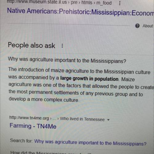 The Mississippians were the most advanced Native Americans. Why do you think agriculture was an impo