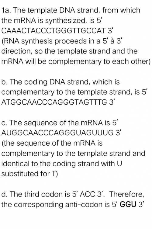 Determine the complementary RNA and the amino acids