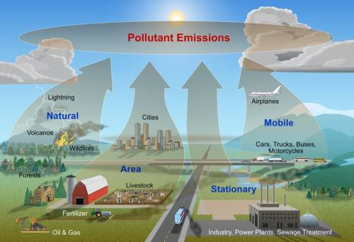 Explain how pollution can arise from both natural sources and from human activities