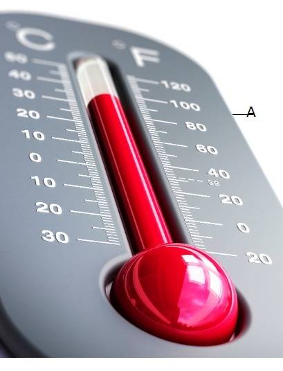 The area on the thermometer marked with the letter a is called the  .