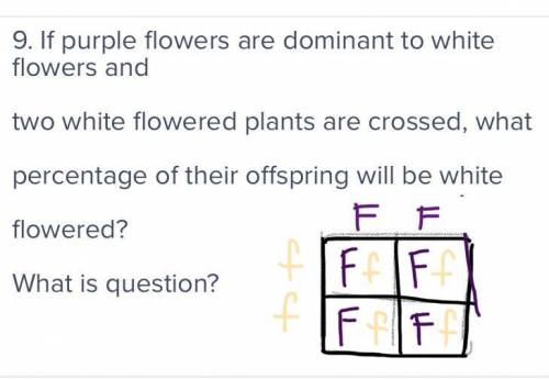 9. If purple flowers are dominant to white flowers and

two white flowered plants are crossed, what