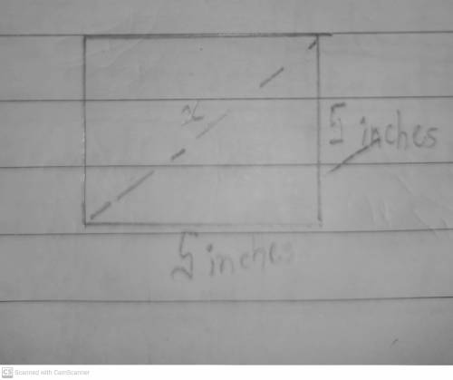 What is the length of the diagonal of the square? Round to the nearest tenth?