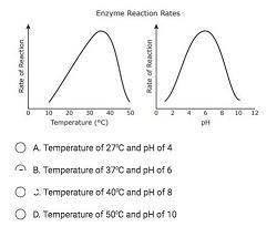 The graphs show the reaction rate for an enzyme across a range of temperatures and pH. Based on thes