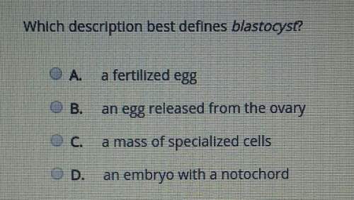 A: a fertilized eggb : an egg released from the ovaryc : a mass of specialized eggs