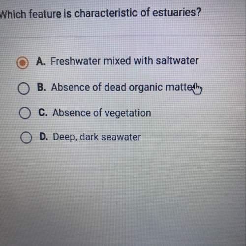 Which feature is a characteristic of estuaries , i believe it’s a