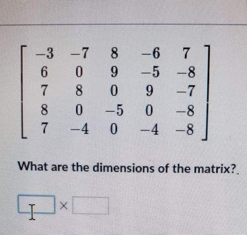 What are the dimensions of the matrix? . i need pls