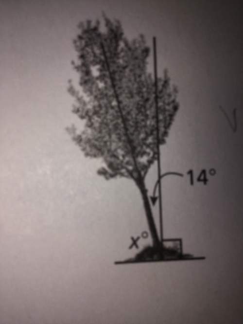 Me on this one the tree is tilted 14 find the value of x