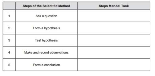 Fill in this table to describe how mendel used the scientific method.