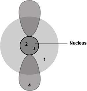 Which locations are likely to have subatomic particles with the greatest mass?  1 and 2
