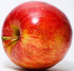 What would be the best formula to model the volume of an apple?  a) volume of a cone  b)