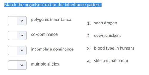 Match the organism/trait to the inheritance pattern.