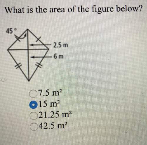 What is the area of the figure below? explain!
