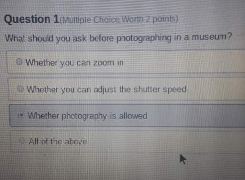 What should you ask before photographing in a museum? (answers shown in picture)