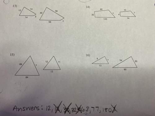 Can someone answer 13, 14, 15, and 16 because i'm in a tight spot