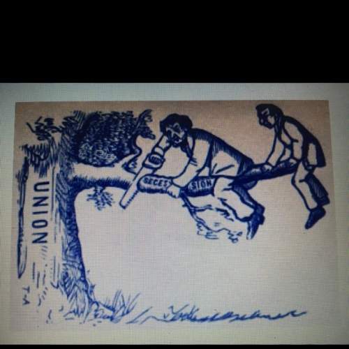 Why might the cartoonist have used a tree and branch to illustrate the south’s secession from the
