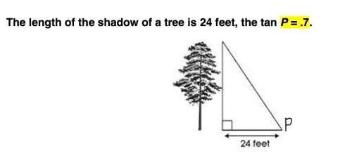 15 !  the length of the shadow of a tree is 24 feet.the tan is p=.7 write an equat