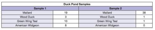 Rhonda manages wildlife samples for ducks unlimited. two samples of duck populations at a migratory