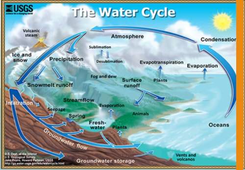 (02.06 hc)if you had continued following the water molecule in the water cycle activity, what step d