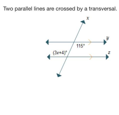 Two parallel lines are crossed by a transversal.