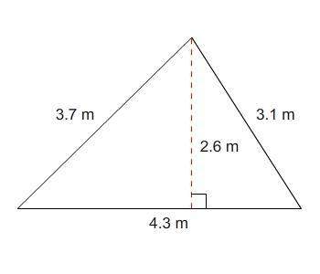 what is the area of this triangle, in square centimeters?  55,9