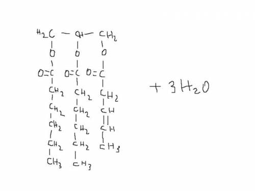 What is the chemical equation that shows the dehydration synthesis that creates the following

trigl