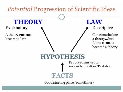Compare and contrast between scientific theory,scientific law and scientific hypothesis