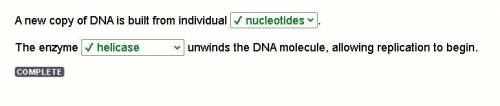 A new copy of DNA is built from individual genes . The enzyme unwinds the DNA molecule, allowing rep