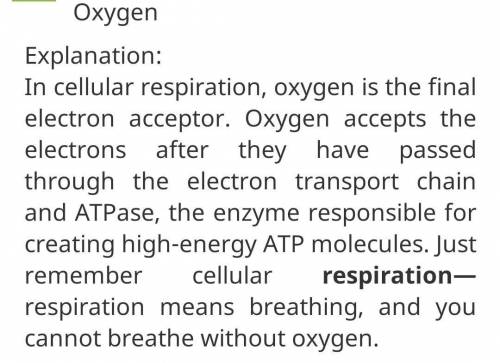 90 POINTS SMART PEOPLE OF HELP ME ASAP

Which is the final electron acceptor in the electron transpo